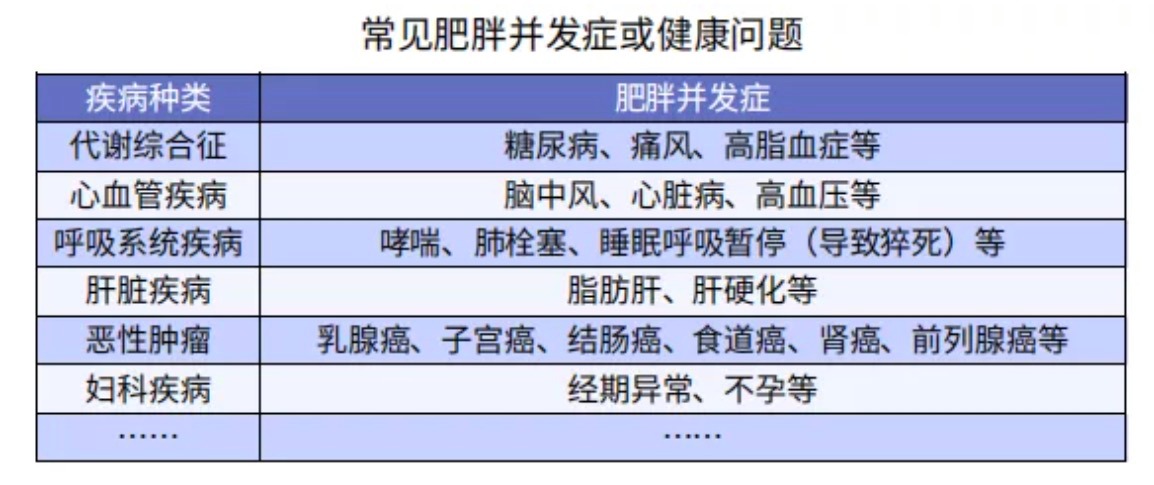 太胖被拒保怎么辦？