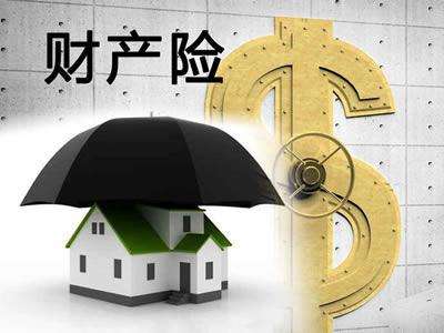 如何選擇財(cái)產(chǎn)保險(xiǎn)來降低財(cái)產(chǎn)損失？
