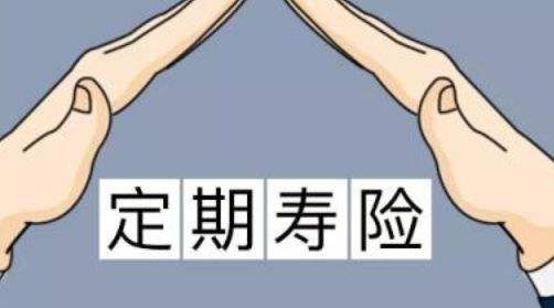 定期壽險(xiǎn)適合什么人？