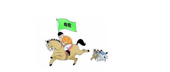 壽險(xiǎn)有什么作用？提前配置壽險(xiǎn)有必要嗎