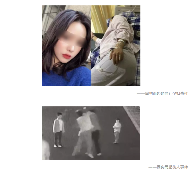 為什么不買保險就不讓養(yǎng)狗？