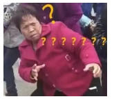 為什么不買保險就不讓養(yǎng)狗？