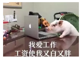 發(fā)生車禍如何快速理賠？