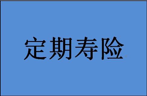 定期壽險(xiǎn)怎么選比較好？