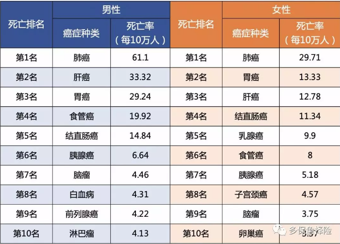女性高發(fā)重疾怎么選？