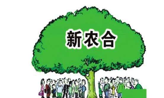 新農(nóng)合的報(bào)銷上限是多少 真能解決問題嗎？